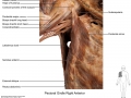 APP_03