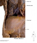 PNS_07