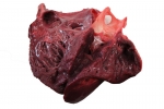 Pig Heart_025