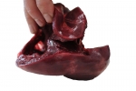 Pig Heart_031