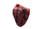 Pig Heart_035